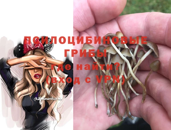 ПСИЛОЦИБИНОВЫЕ ГРИБЫ Верхний Тагил