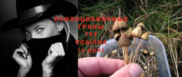 прущая мука Бородино